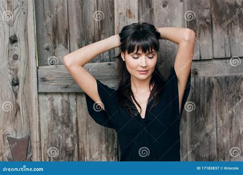 Young Beautiful Girl The Brunette Stock Image Image Of Smile Confidence 17183837