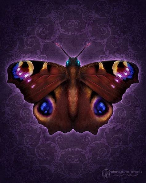 Damask Peacock Butterfly Art Print Brigid Ashwood 1500 Via Etsy