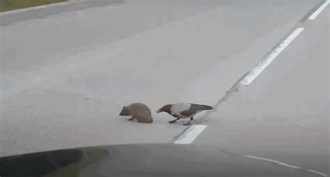 Remembering the Fallen: Essential WWI Memorials in Europe