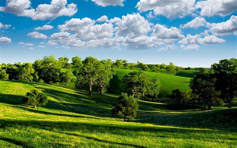 Green Landscape With Trees Wallpaper 1152x720