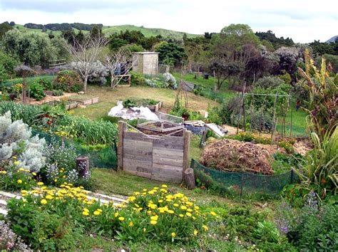 Permalink to Permaculture Potager Debutant