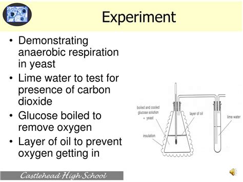 Fermentation by yeast yeast produces ethanol, carbon carbon dioxide and energy energy conclusion in the absence of oxygen, yeast undergoes anaerobic respiration to produce. PPT - Anaerobic Respiration PowerPoint Presentation - ID ...
