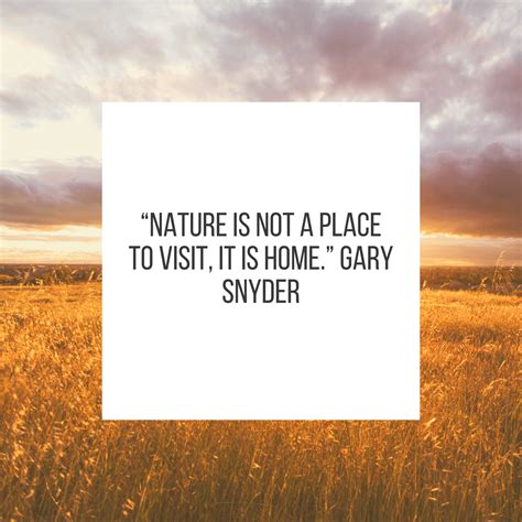 60 Inspiring Quotes About Nature