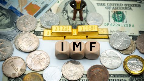 Imf Boss Supporting Egyptian Currency Akin To Putting Water In A