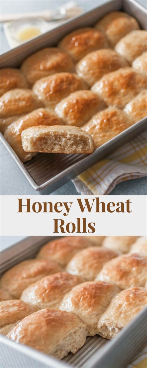 honey wheat rolls meg s everyday indulgence