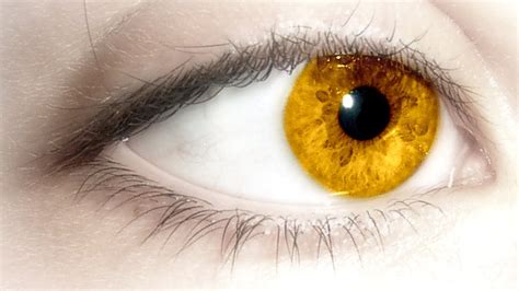 ¿cómo Deshacerse De Los Ojos Amarillos Rápidamente Salud Teu