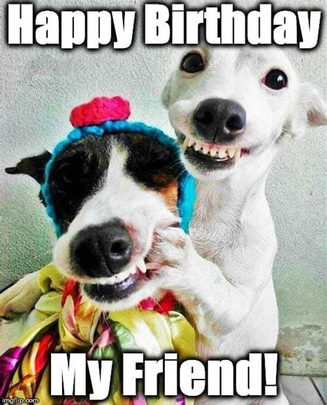 Meme For Birthday Friend Happy Birthday Wishes For A Friend Funny