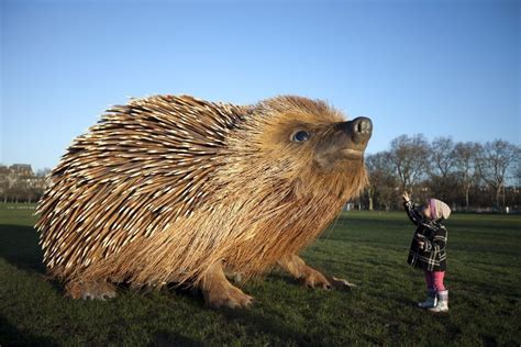 Giant Hedgehog Marks Launch Of Sir David Attenborough Series Natural
