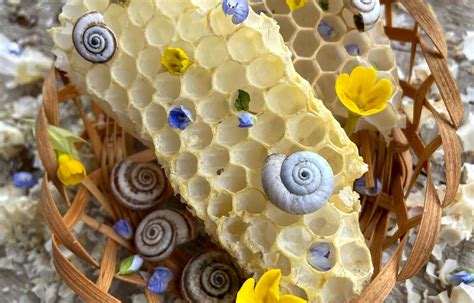 Importance Of Using Beeswax Lip Balm IOWAY Bee Farm