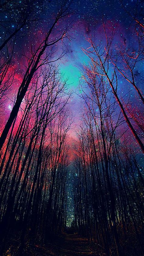 1080p Free Download Galaxy Forest Tree Sky Bright Stars Hd Phone