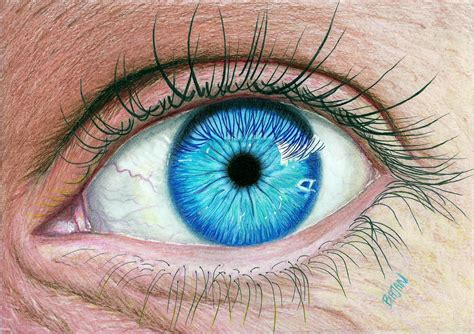 Realistic Eye By Bajan Art On Deviantart