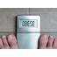 Man`s Feet On Weight Scale  Obese Stock Image Of Cholesterol