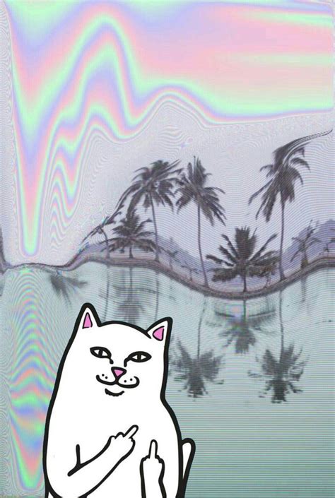 Download this free photo about hand showing middle finger through background, and discover more than 9 million professional stock photos on freepik. Ripndip iphone wallpaper #ripndip #middle #finger #cat # ...