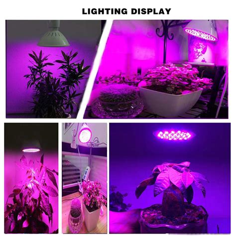 We did not find results for: Led Grow Light Bulb LED Grow Lights for Indoor Plants ...