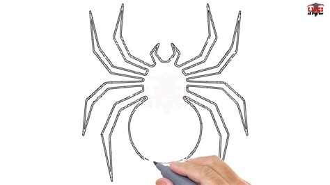 Spider Art Drawing Easy Yun Fahner