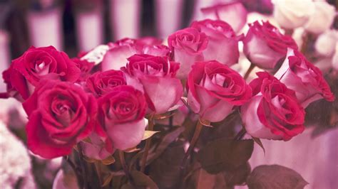 Red And Pink Roses Bouquet Hd Wallpaper Wallpaper Flare