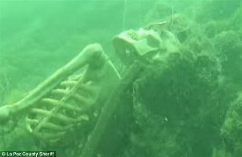 Arizona Snorkeler Finds Weekend At Bernies Skeletons In Colorado River Daily Mail Online