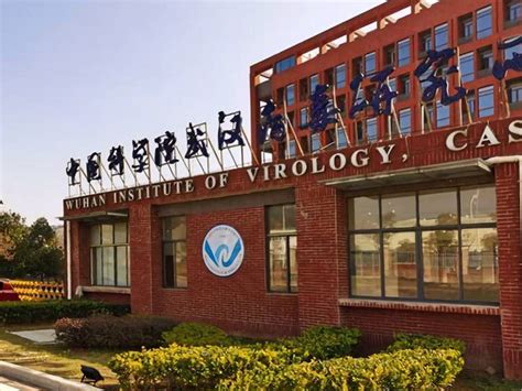 ¿qué Pasa Si La Filtración Del Coronavirus Del Laboratorio De Wuhan Es