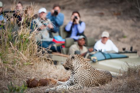 The 5 Best African Safaris Keep Asking