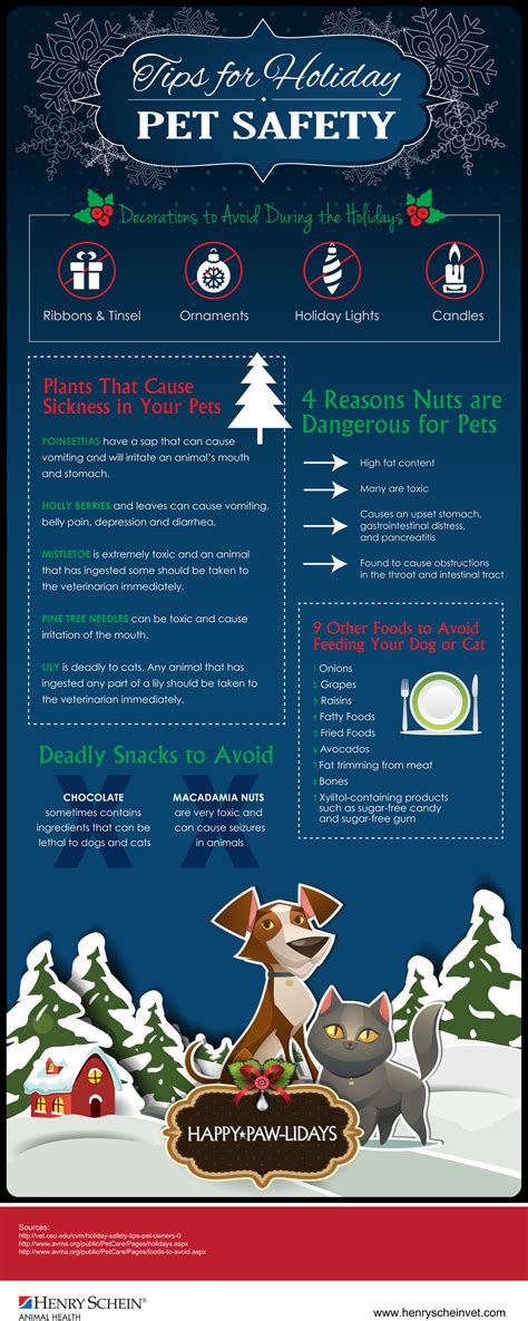 Tips For Holiday Pet Safety