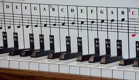 Piano and Keyboard Note Chart for Behind the Keys - Quality Music Gear