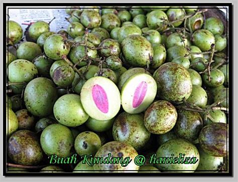 Sinopsis kisah batu malin kundang si berbagai versi dari cerita rakyat malin kundang pernah kami posting di blog ini. Hanieliza's Cooking: Sambal Kundang
