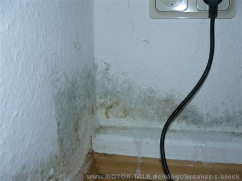 Wenn die ersten anzeichen von schimmel in der wohnung sichtbar werden, fragen sich viele sofort. Schimmel in der Wohnung : Breaker's Block