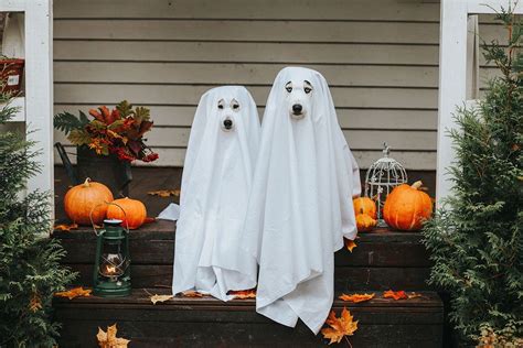 Why Do We Wear Bedsheets As A Ghost Costume A Closer Look At Its
