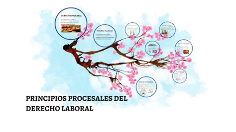 Principios Procesales Del Derecho Laboral By Adriana Espinoza Castro