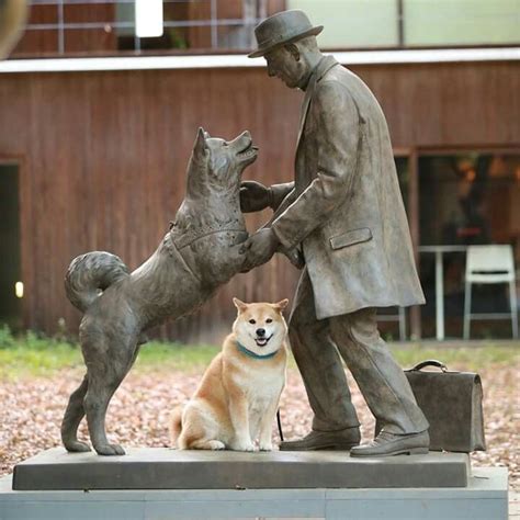 💖🇯🇵hachiko Statue University Of Tokyo 🐕🍃🌾 The Dog Is Mans Best Friend