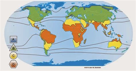 De första moderna människorna ( homo sapiens ) utvecklades i afrika för omkring 200 000 år sedan och kom till europa för cirka 40 000 år sedan. SO: Geografibegrepp år 7-9