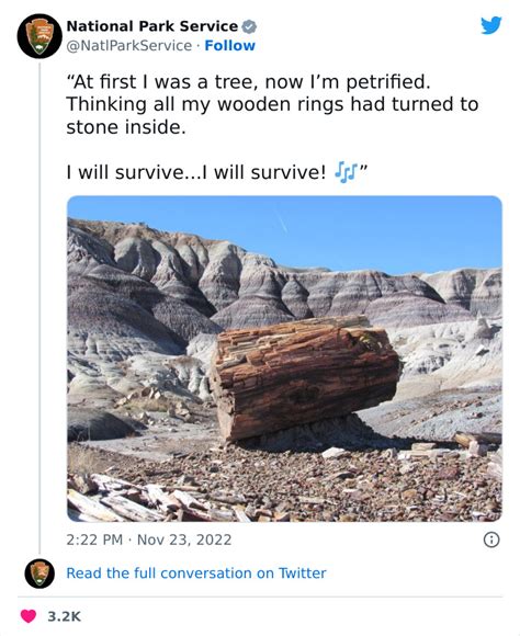 Hilarious Tweets From The Viral National Park Service Twitter Account Demilked