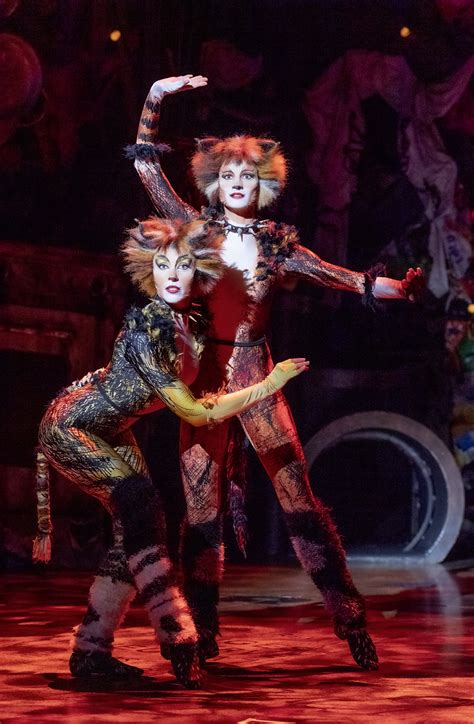 Categorymacavity The Mystery Cat Song Lyrics Cats Musical Wiki
