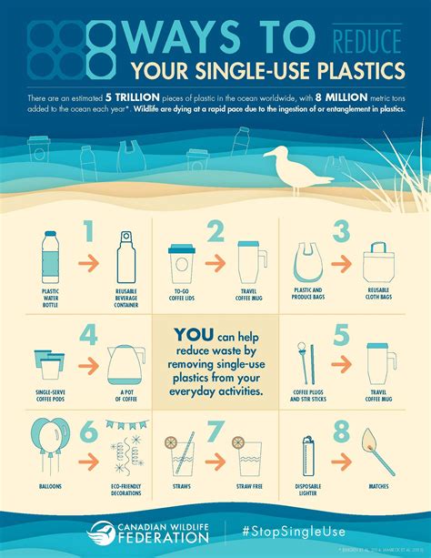 Plastic Infographic Environmentally Friendly Living Reduce Plastic