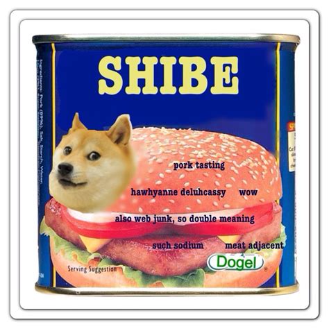 It is a picture of a shiba inu breed dog. Spam Doge | Doge | Know Your Meme