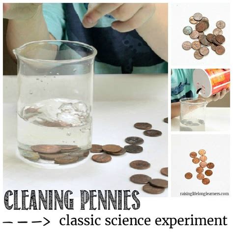 Cleaning Pennies Science Experiment For Kids Raising Lifelong Learners