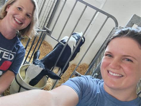 from cow to carton lessons learned on an iowa dairy