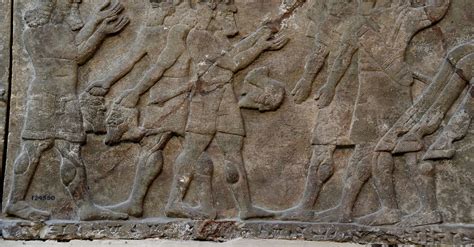 Assyrian War Relief Panel Nimrud Illustration World History Encyclopedia
