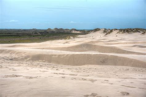 R Bjerg Mile Sand Dunes In Denmark Stock Image Image Of Formation