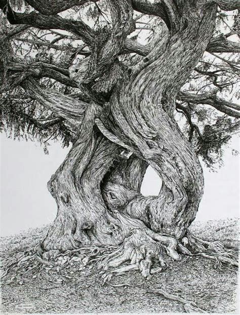 Pin By Shawn Baines On Amazing Trees Ink Pen Drawings Tree Drawing