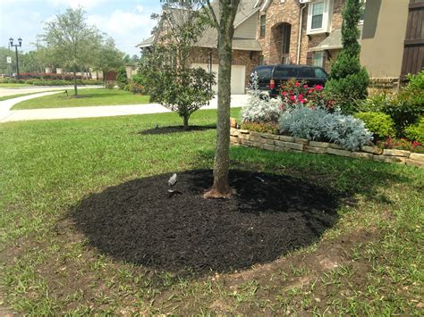 I want to remove the mound but now there are small roots in the mound and to remove most of the. Golden Rule Soil Management Solutions: Getting Rid of ...