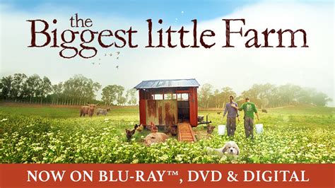 Field producer, production coordinator, jr. The Biggest Little Farm | Trailer | Own it now on Blu-ray ...