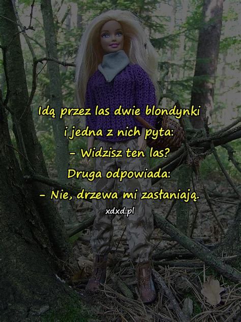 kawały widoczność las dowcip humor xdxd 141055