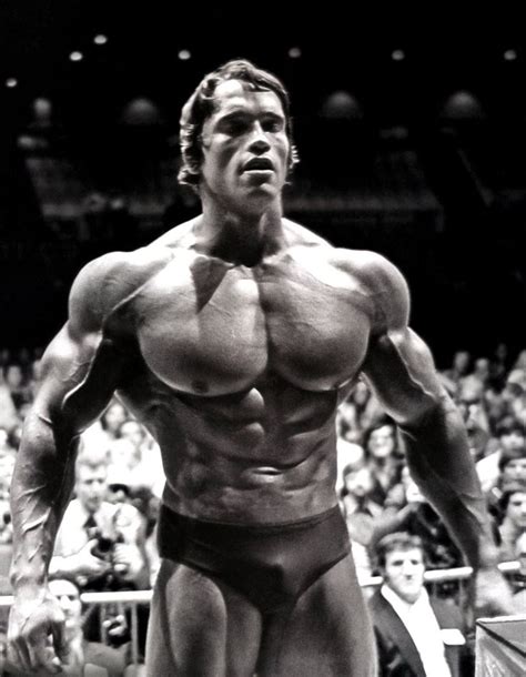 Awesome High Res Photos Of Arnold Schwarzenegger Arnold