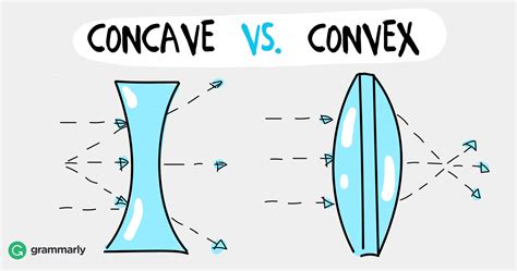 Concave Vs Convex—whats The Difference Grammarly