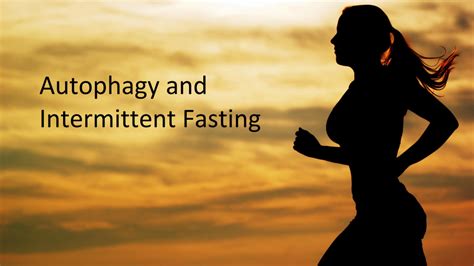 Autophagy And Intermittent Fasting Article Glbrain Com