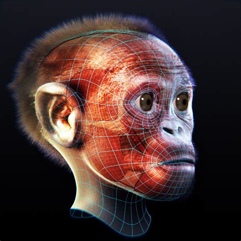 Maybe you would like to learn more about one of these? 3D reconstruction of the skull of Taung child - BlenderNation