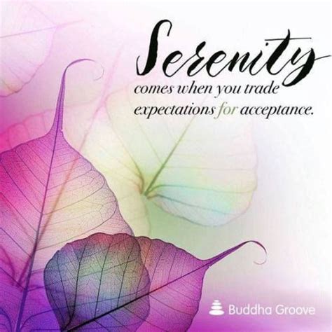 Serenity Comes When You Trade Expectations For Acceptance