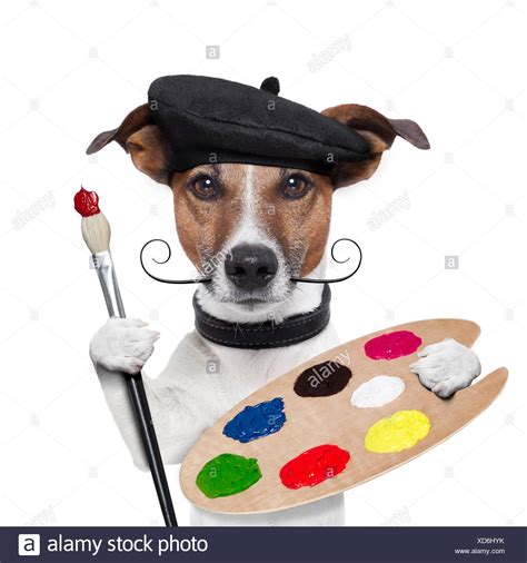 Animal Painter High Resolution Stock Photography And Images Alamy