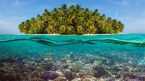 Coral Reef And The Island Half Underwater Shoot Maldives Windows